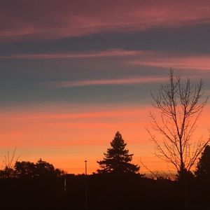 Meet your Posher, Skylar